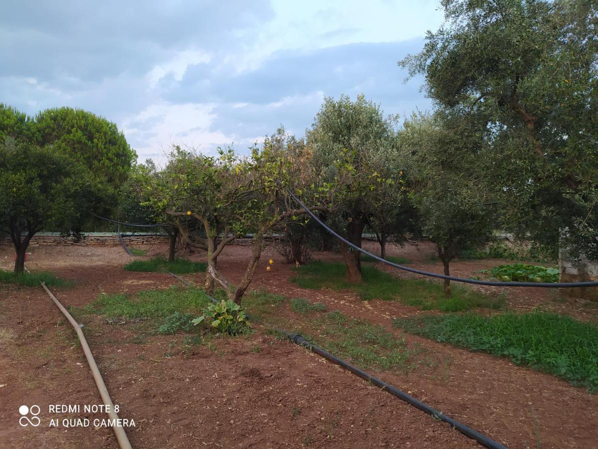 Ozena Countryside Apartment Vromonérion Dış mekan fotoğraf