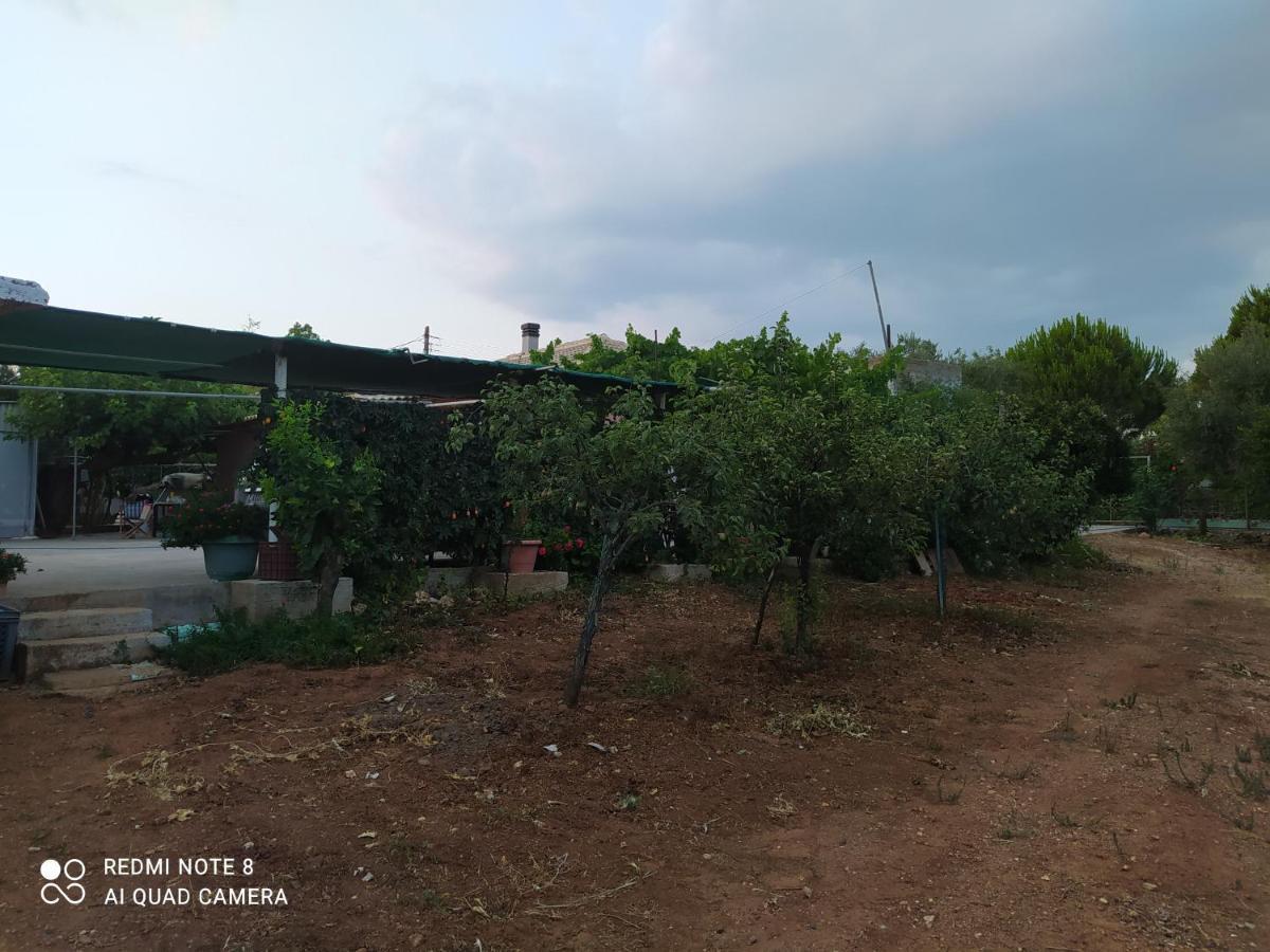 Ozena Countryside Apartment Vromonérion Dış mekan fotoğraf